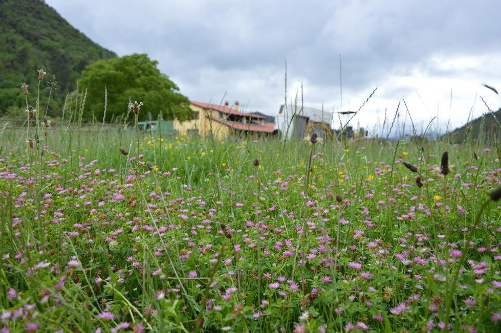 L' Antico Casale Villa Le Marmore Bagian luar foto